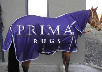 Mesh Fly Rug with Detachable Neck