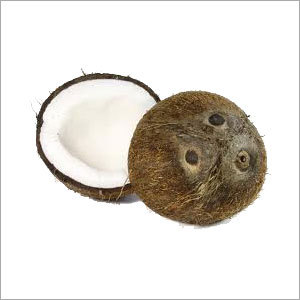 Coconut Shell Products