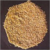 Brinjal Seeds