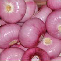 Fresh Onion