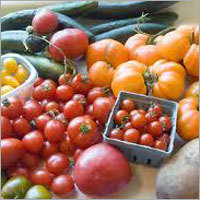 Fresh Vegetables