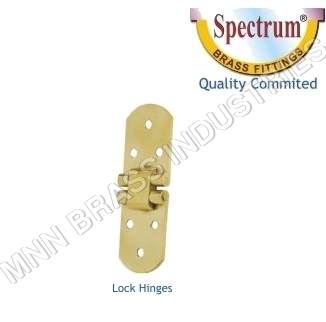 Brass Lock Hinges