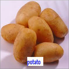 Potato