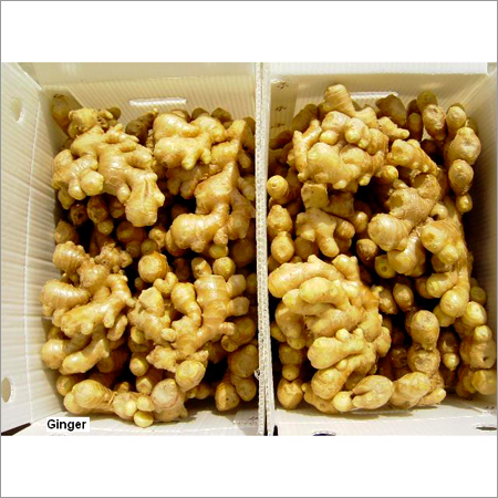 Ginger Root