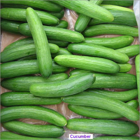 Cucumber