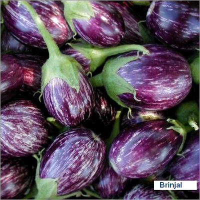 Brinjal Vegetable