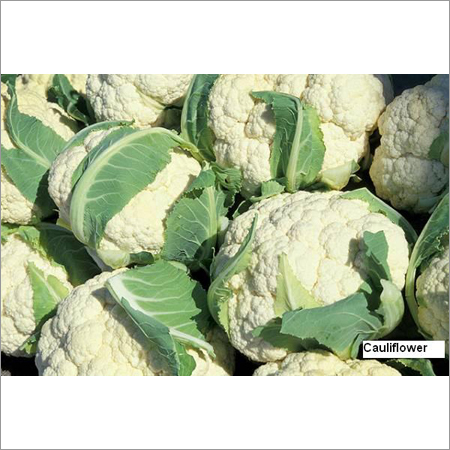 Cauliflower