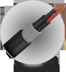 PVC/XLPE Power & Control cables for LT Application