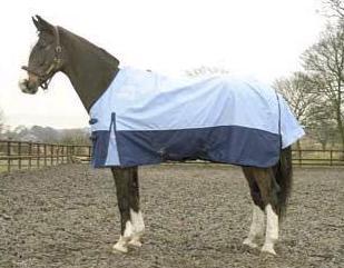 Horse Winter Rugs