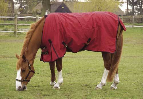 Turnout Sheet / Rain Rug