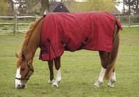 Turnout Sheet / Rain Rug