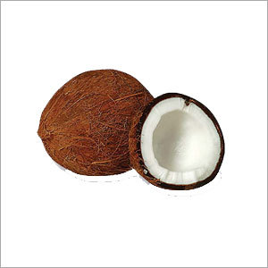 Coconut