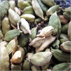 Elaichi Essential Oils & Aromatics