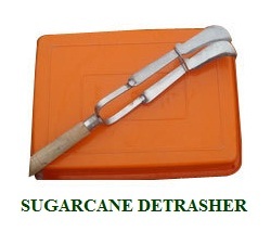 Sugarcane Detrasher