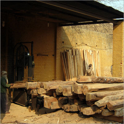 Benin Teak Woods