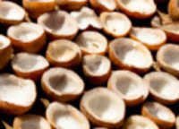 Brown Dry Coconut Or Copra