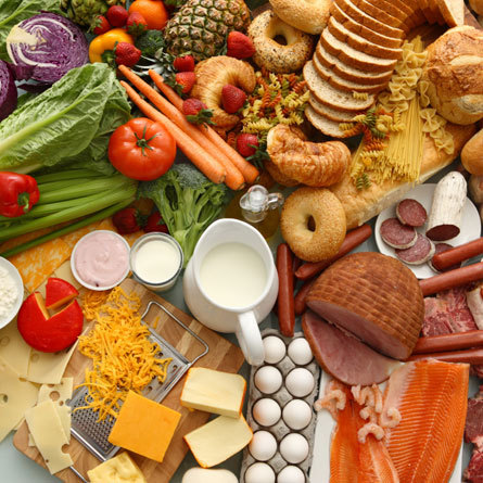 Microbiology Food Test