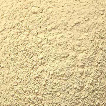 Garlic powder