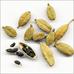 Cardamom Seed Oil