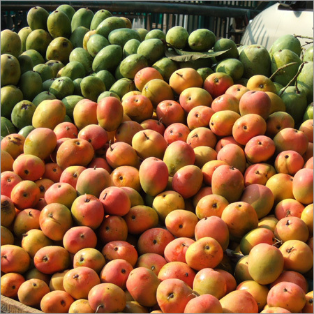 Fresh Mango