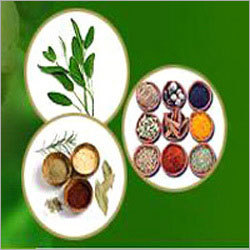 Indian Spices