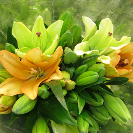 Decorative Items