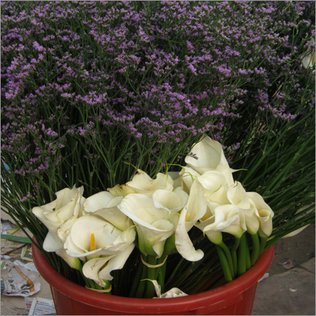 Decorative Items