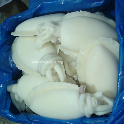 Cleaned Cuttlefish IQF