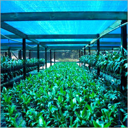 Ecofriendly Agro Shade Net - Base Material: Hdpe