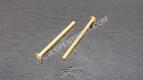 BRASS FACE SCREW 2