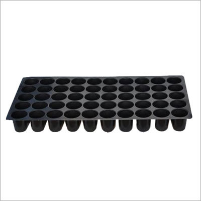 Seedling Tray (50 Cavity)