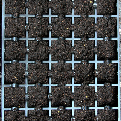 Vegetable Propagation Trays