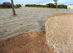 Jute Carpet