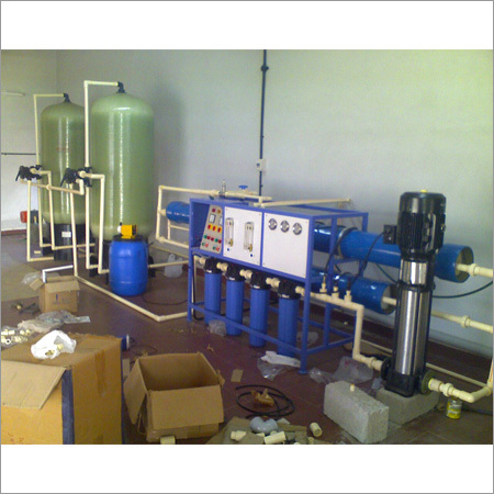 Bottle Water Plant
