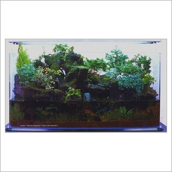 Bonsai Aquariums