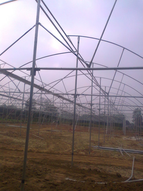 Green House Erection