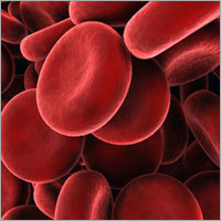 Ayurvedic Medicines & Products