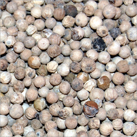 Indian Ground Spices