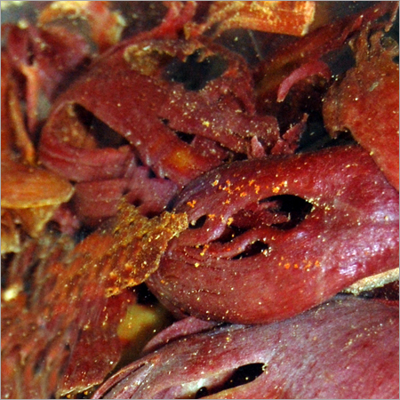 Spices & Seasonings