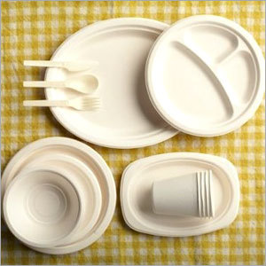 Disposable Utensils