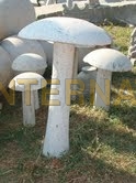STONE MUSHROOM - Stone, Varied Height, White | Durable, Weatherproof, Decorative, Versatile, Smooth Finish