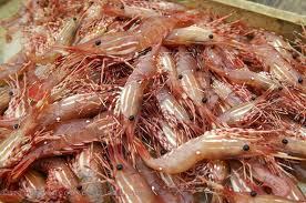Processed Sea Foods