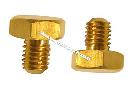 Brass Hex Head Screw