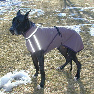 Dogs Jackets
