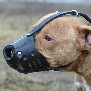 Boxer Dogs Muzzle