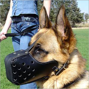Leather Dog Muzzle