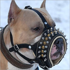 Dog Muzzle