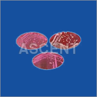 Dehydrated Culture Media for Molecular Biology