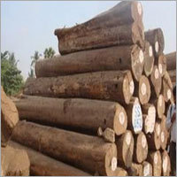 Burma Teak Logs