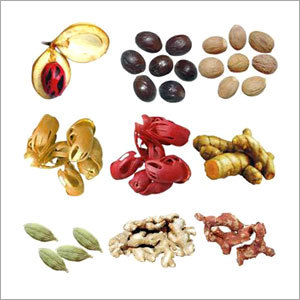 Whole Spices - Indian Whole Variety, Bulk/Retail | Freshly Processed, Rich Aroma, Un-adulterated, Traditional Methods